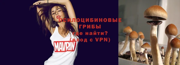 трава Гусиноозёрск