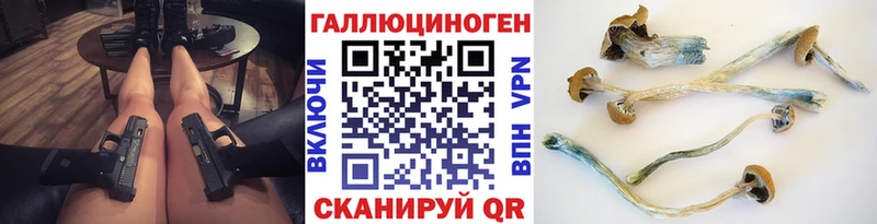 сколько стоит  Одинцово  Галлюциногенные грибы Psilocybine cubensis 
